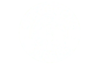 Starbucks – guest presenter product launch