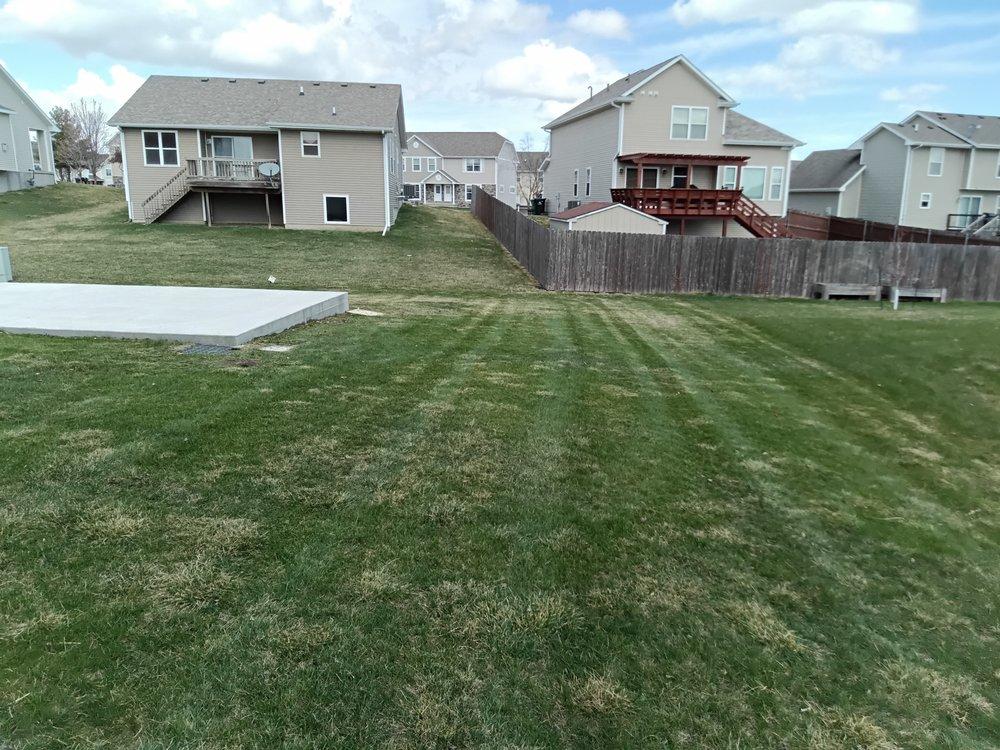 Wide view of a clean backyard lawn after mowing service in Norwalk IA
