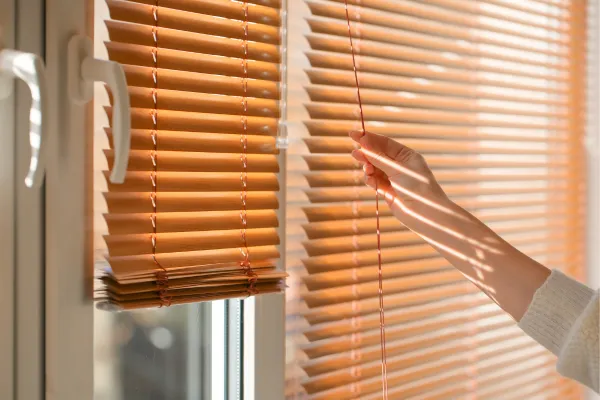 Dusting Blinds