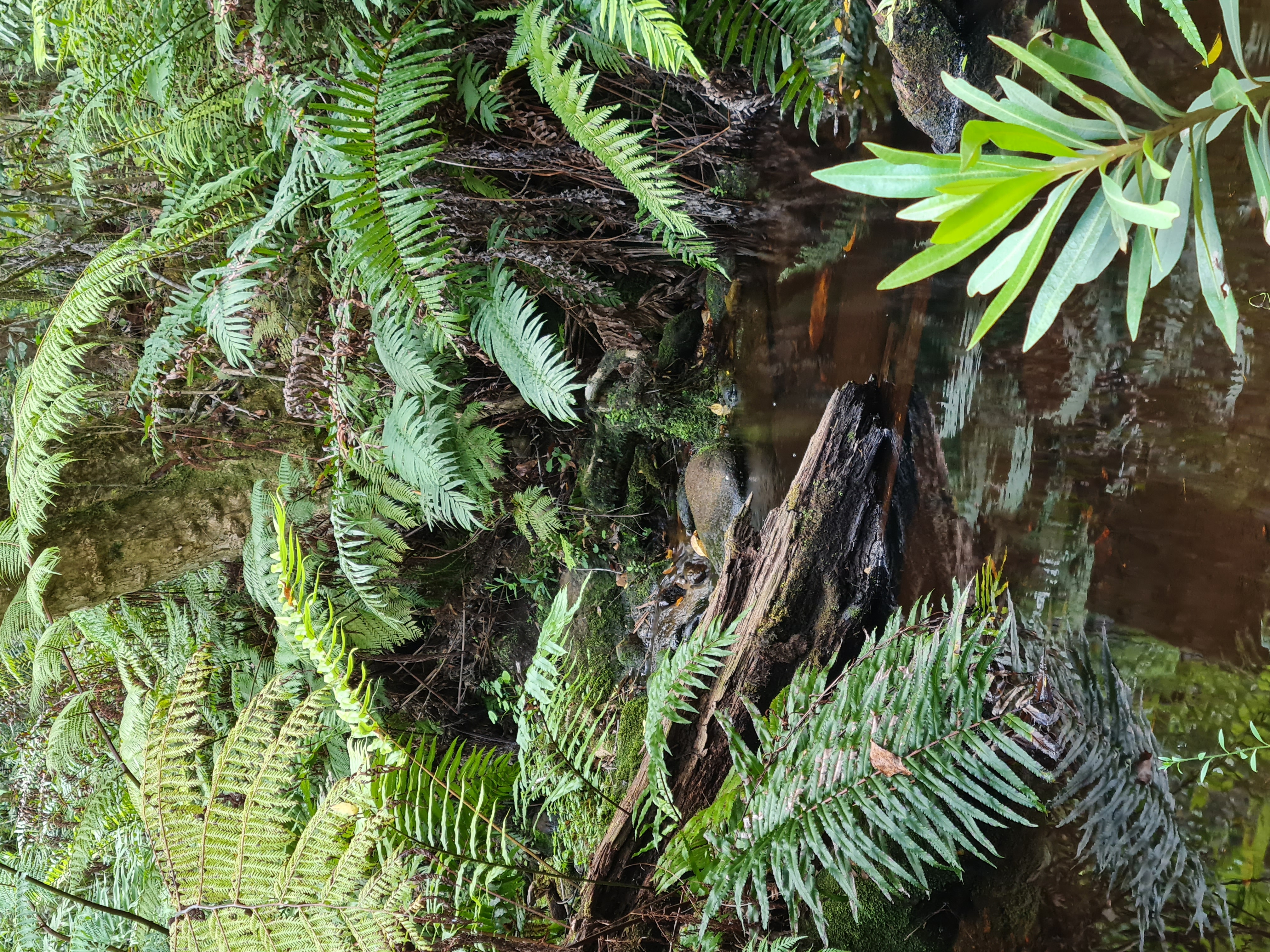 woman wearing gray long-sleeved shirt facing the sea