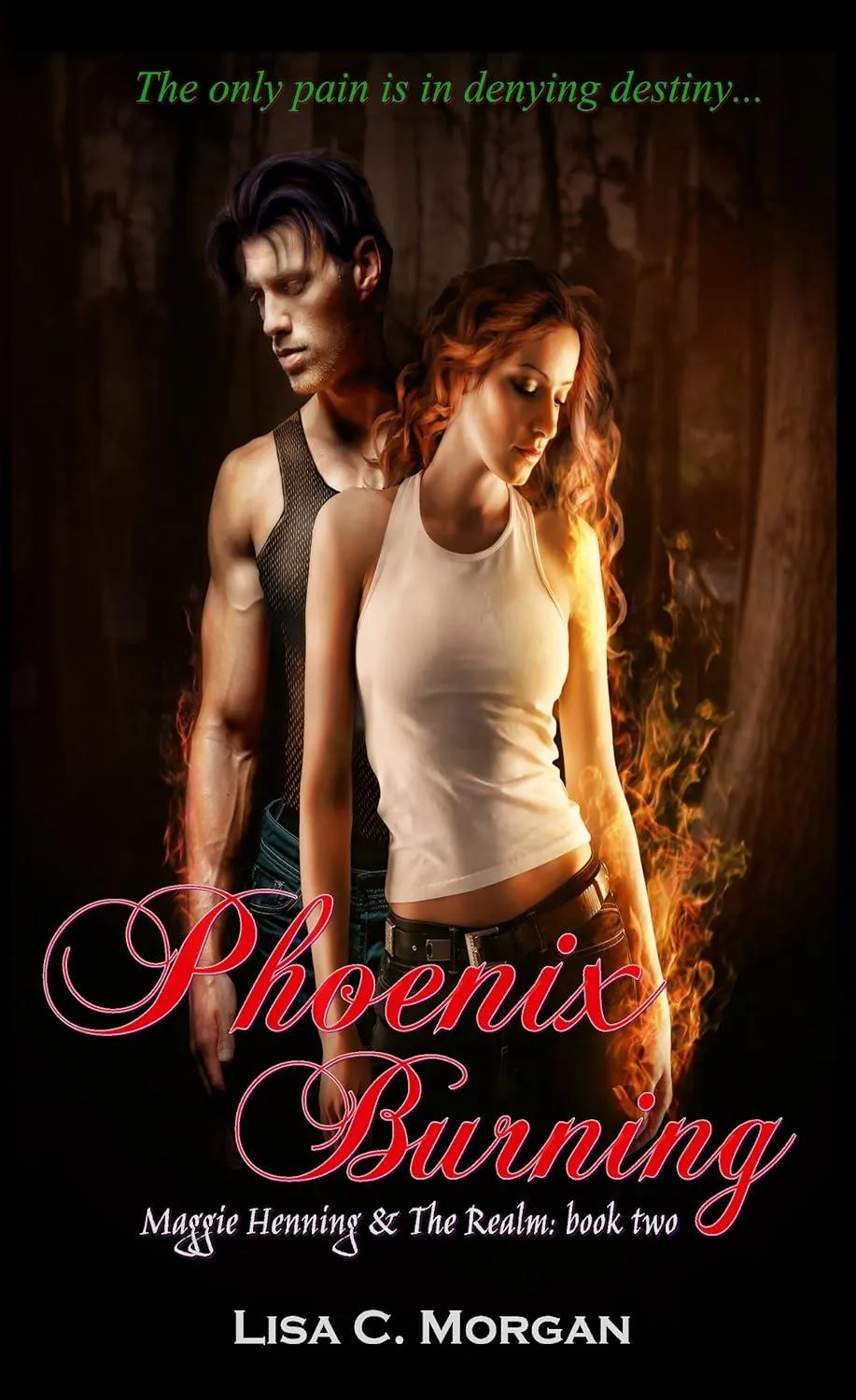 Phoenix Burning book cover