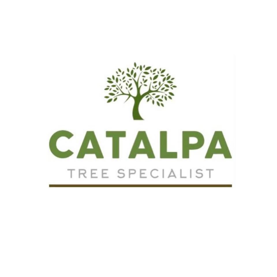 Tree Removal Services Sacramento