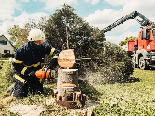 {{ custom_values.service_1 }} in {{custom_values.biz_area_1})