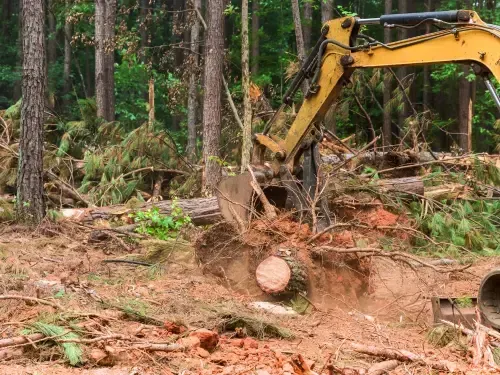Lot & Land Clearing in Sacramento
