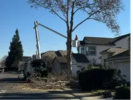 Lot & Land Clearing Sacramento