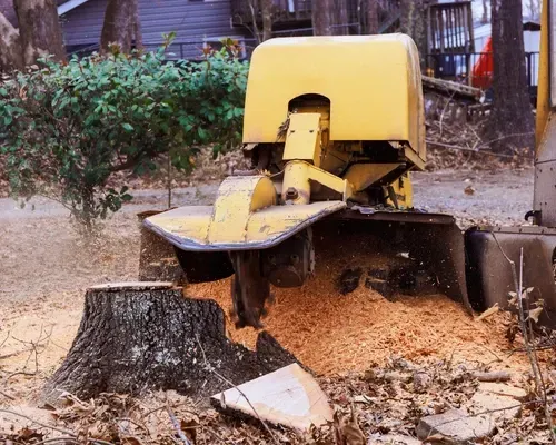 Citrus Heights Stump Grinding
