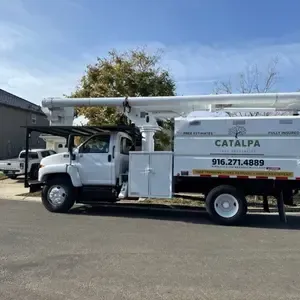 Tree Removal Sacramento