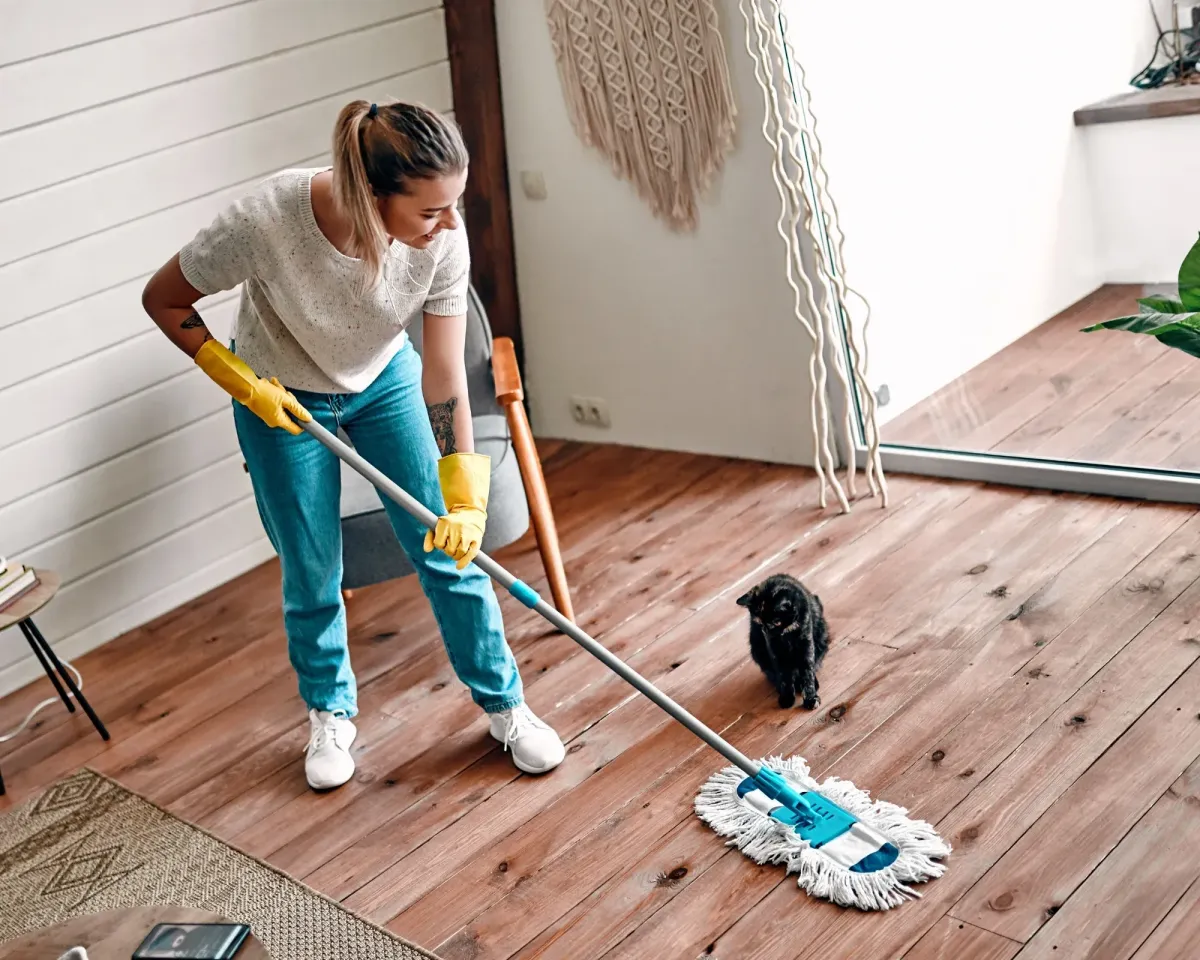 Person mopping the floor with a kitten nearby in a bright, cozy room.