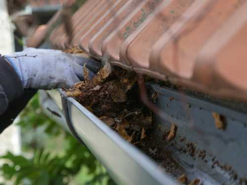 Gutter Cleaning in Honolulu
