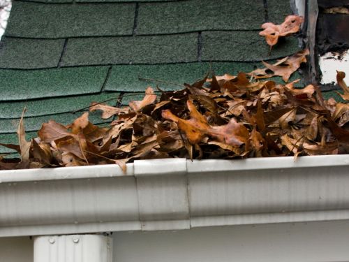 Waikiki Gutter Cleaning