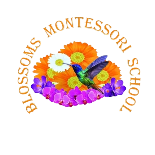 Blossoms Montessori School logo featuring a hummingbird and colorful flowers, representing early childhood education and nurturing environment.