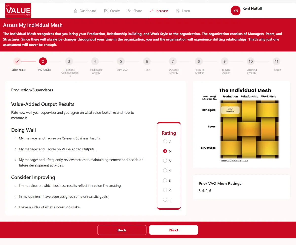 Individual Mesh assessment page in the My Value App
