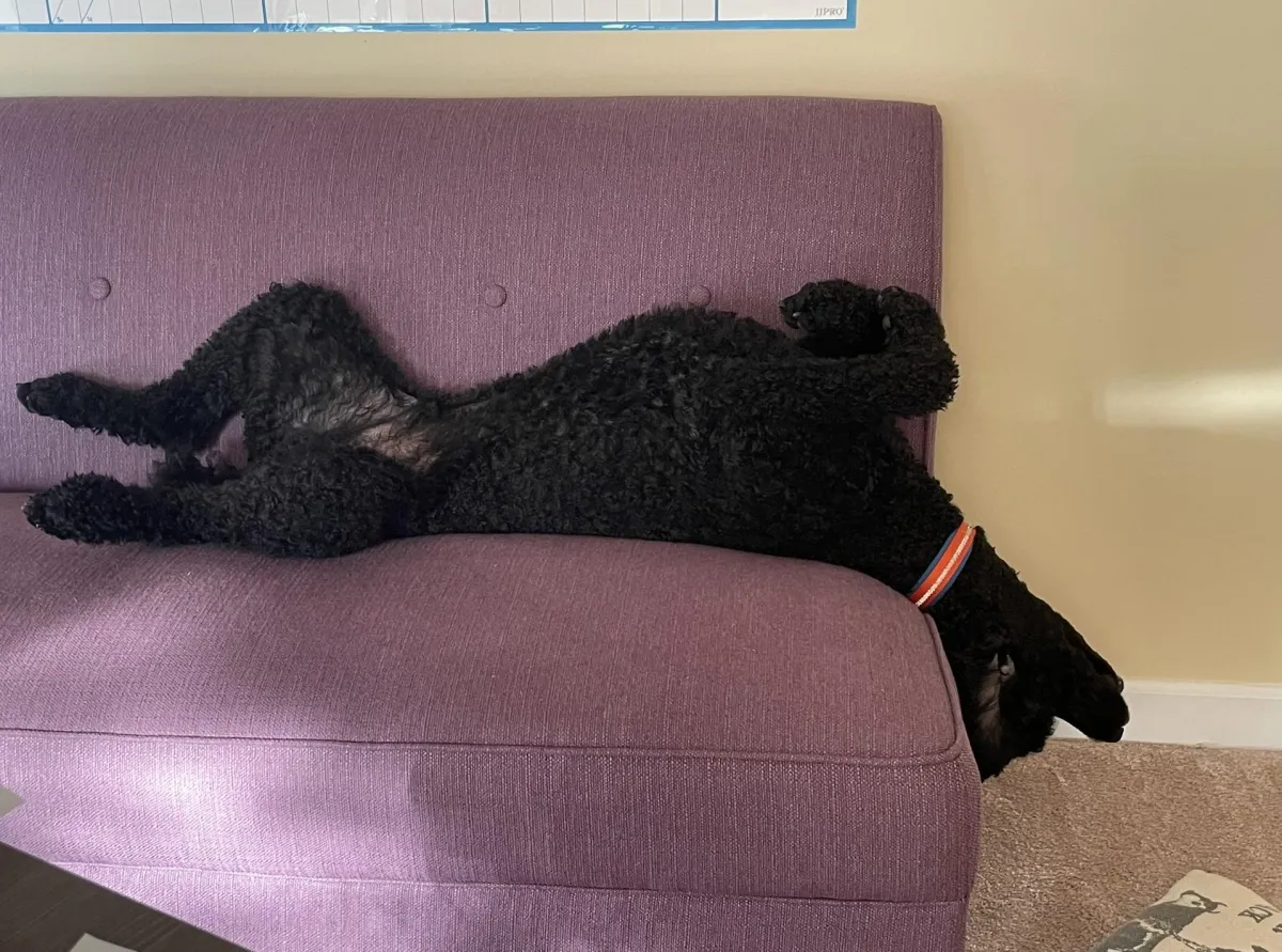 Don’t Blame the Chair