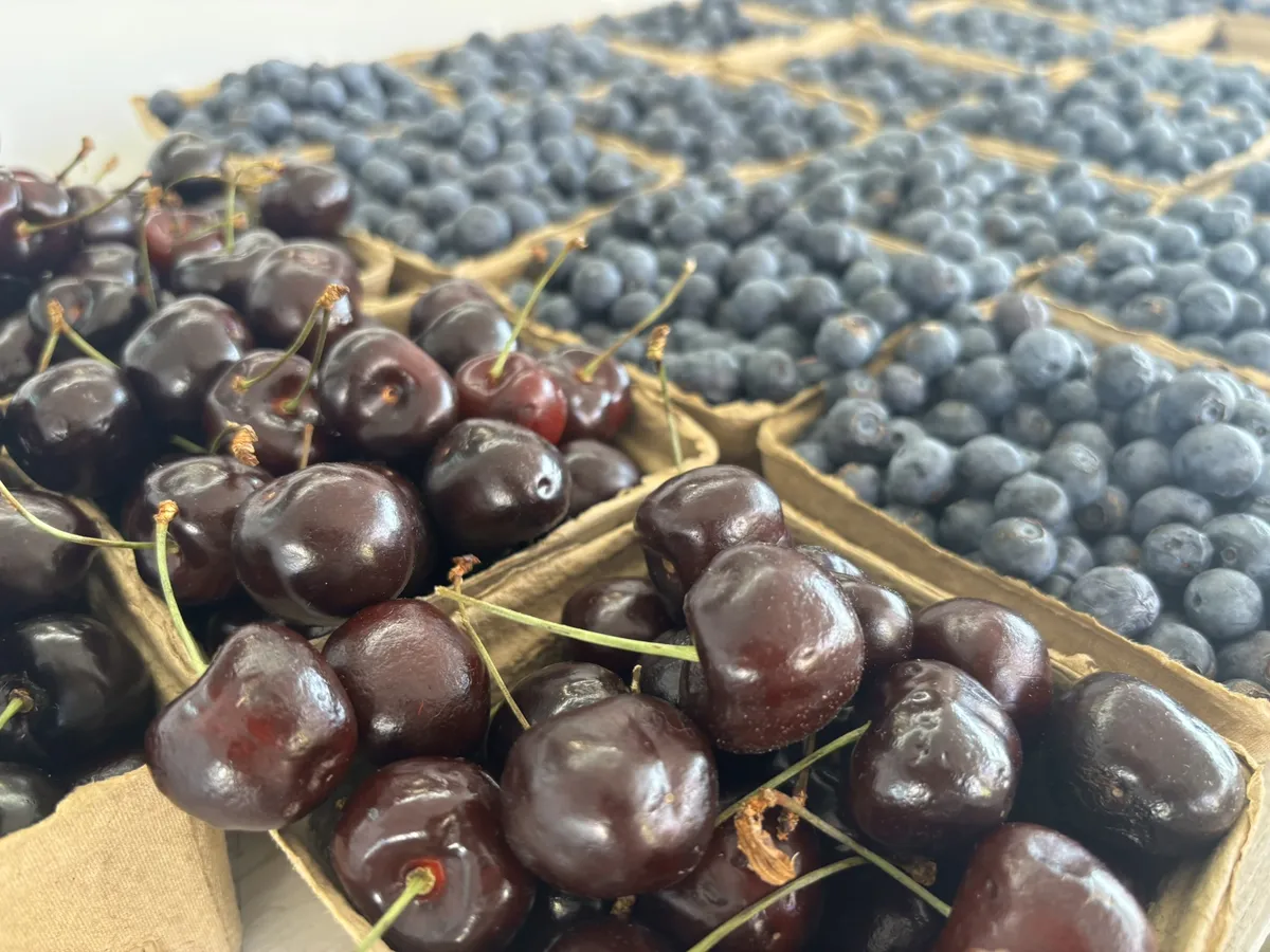 fresh cherries and blueberries in quart baskets