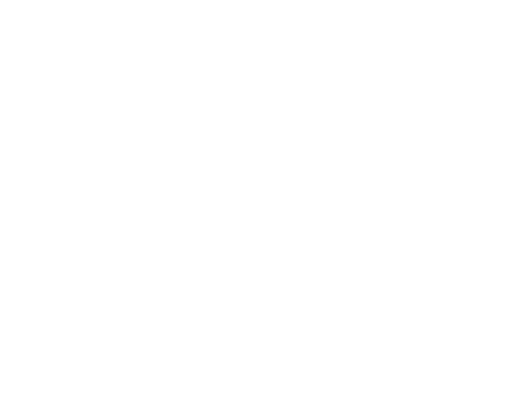 Webster family butchers logo