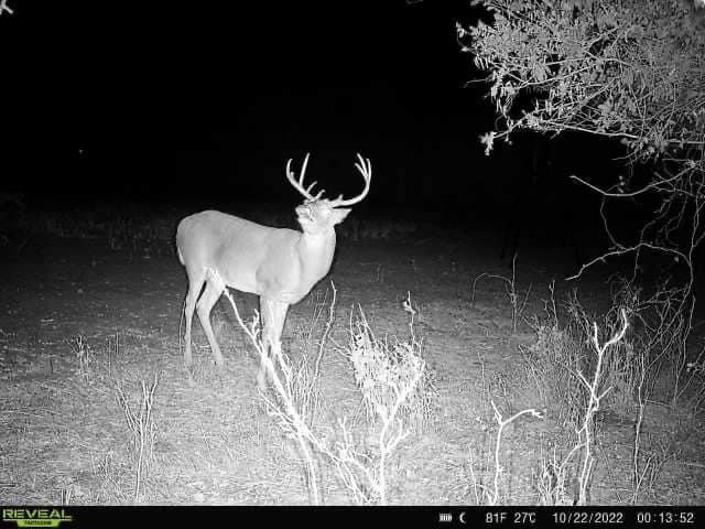 Hunter in Texas wilderness