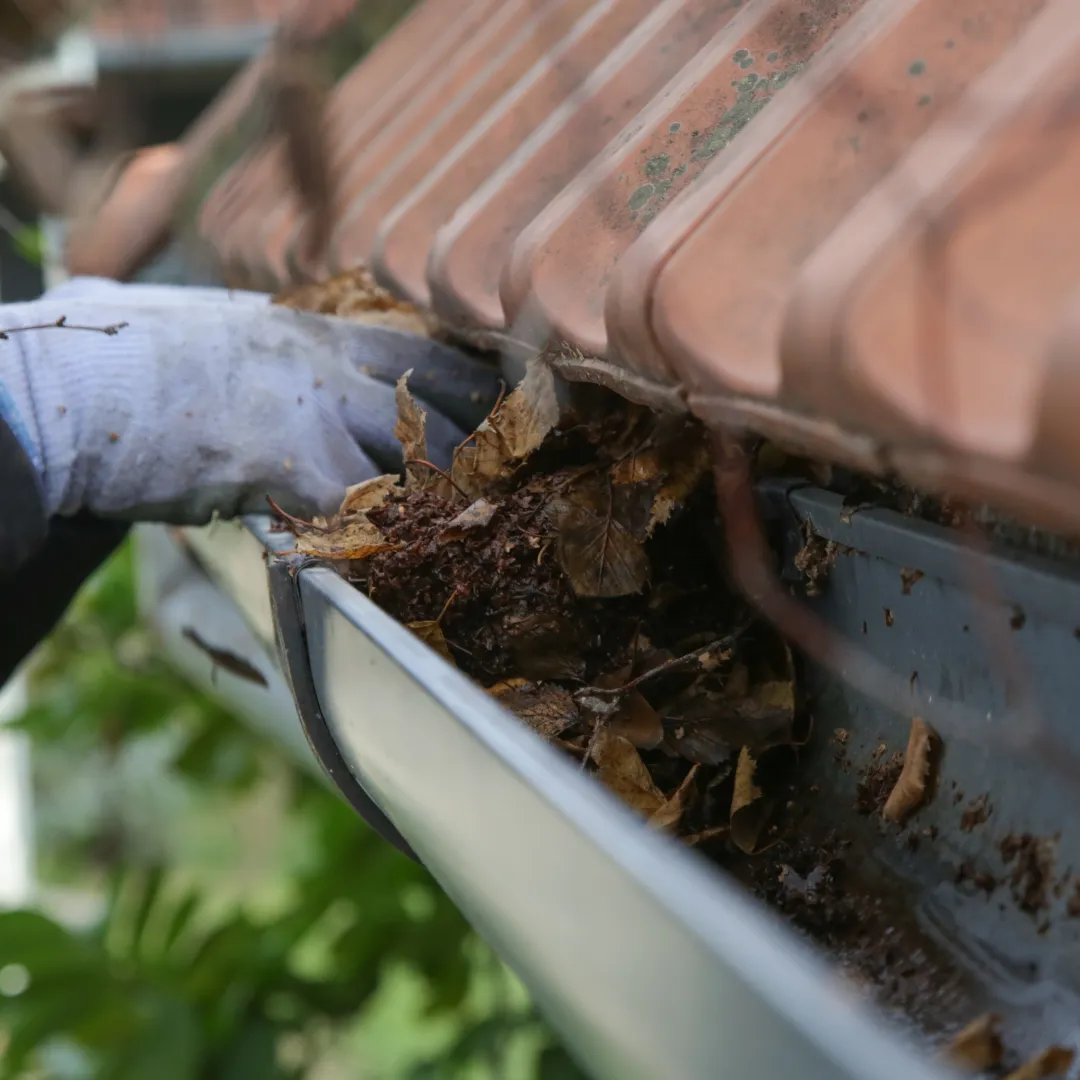 Gutter Cleaning in Charlotte County