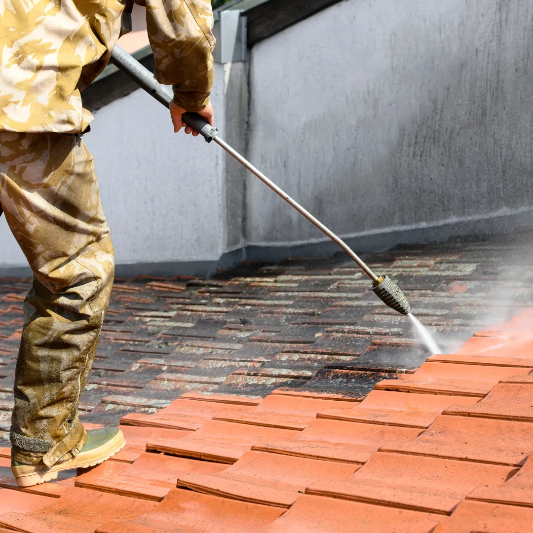 Sarasota County Roof Cleaning