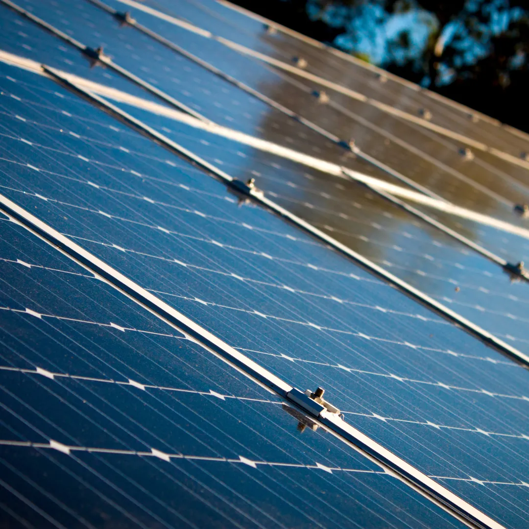 Lee County Solar Panel Cleaning