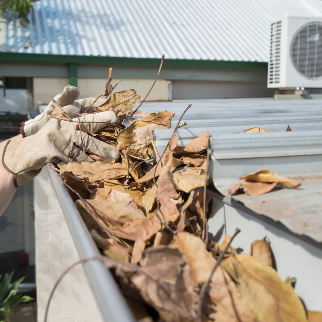 Sarasota County Gutter Cleaning