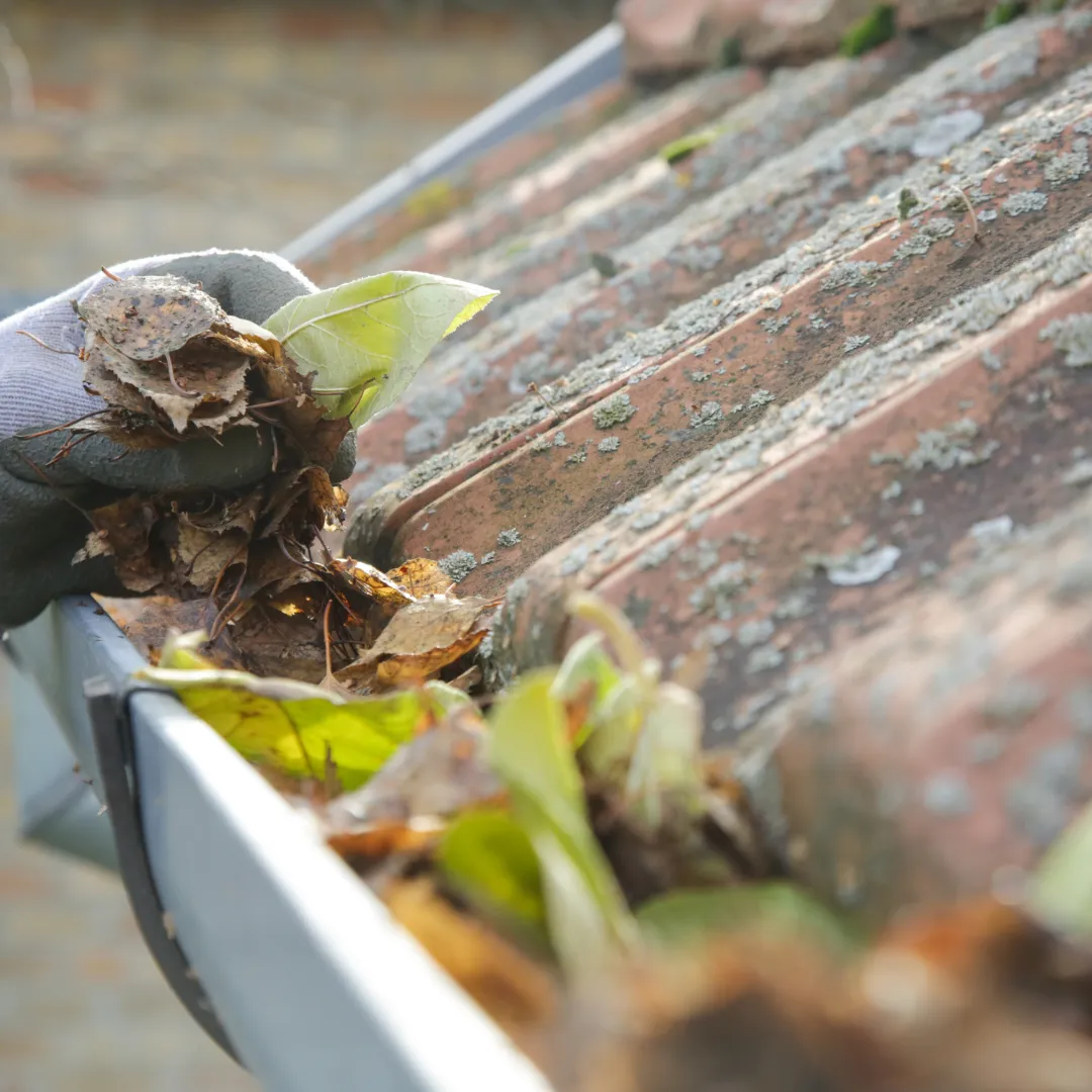 Charlotte County Gutter Cleaning