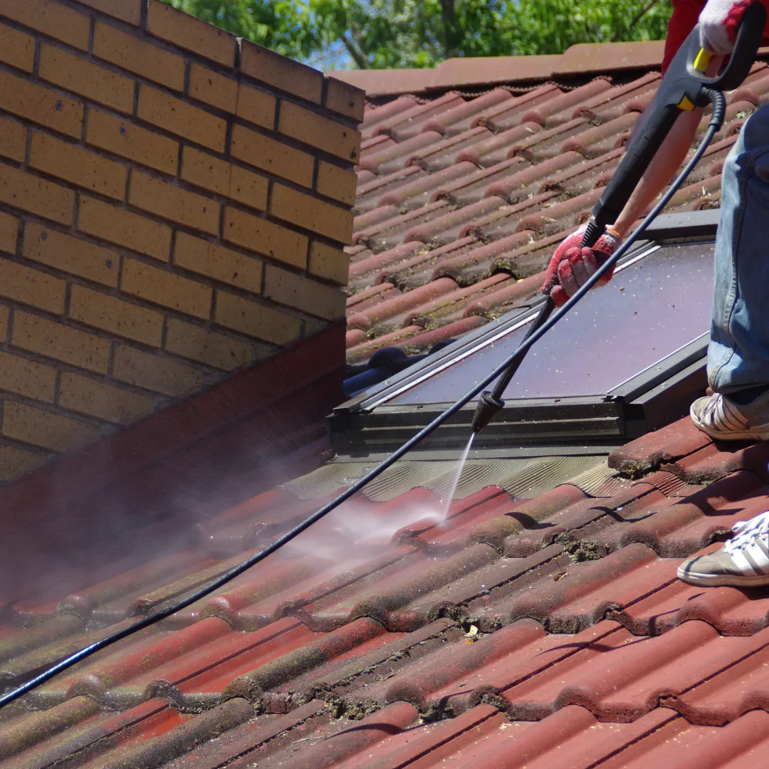 Lee County Roof Cleaning