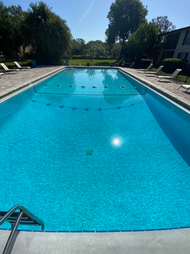 pool service in tampa bay