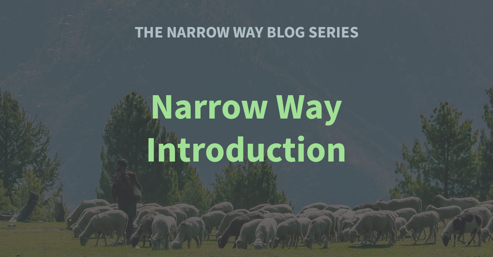 1 - Narrow Way Introduction