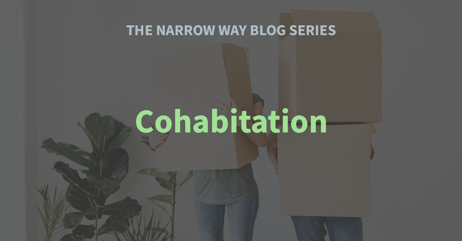 3 - Cohabitation