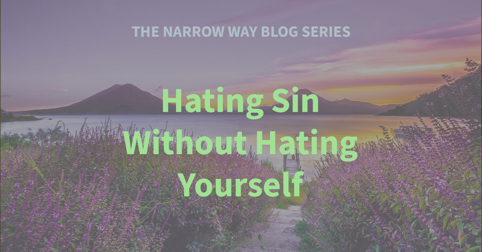 7 - Hating Sin Without Hating Yourself