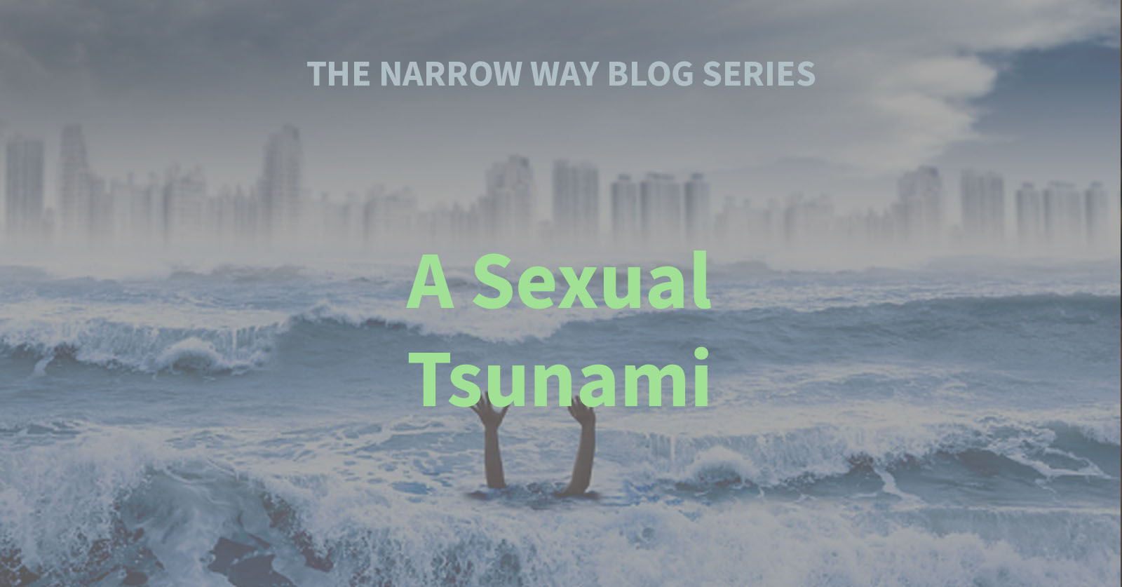 8 - A Sexual Tsunami
