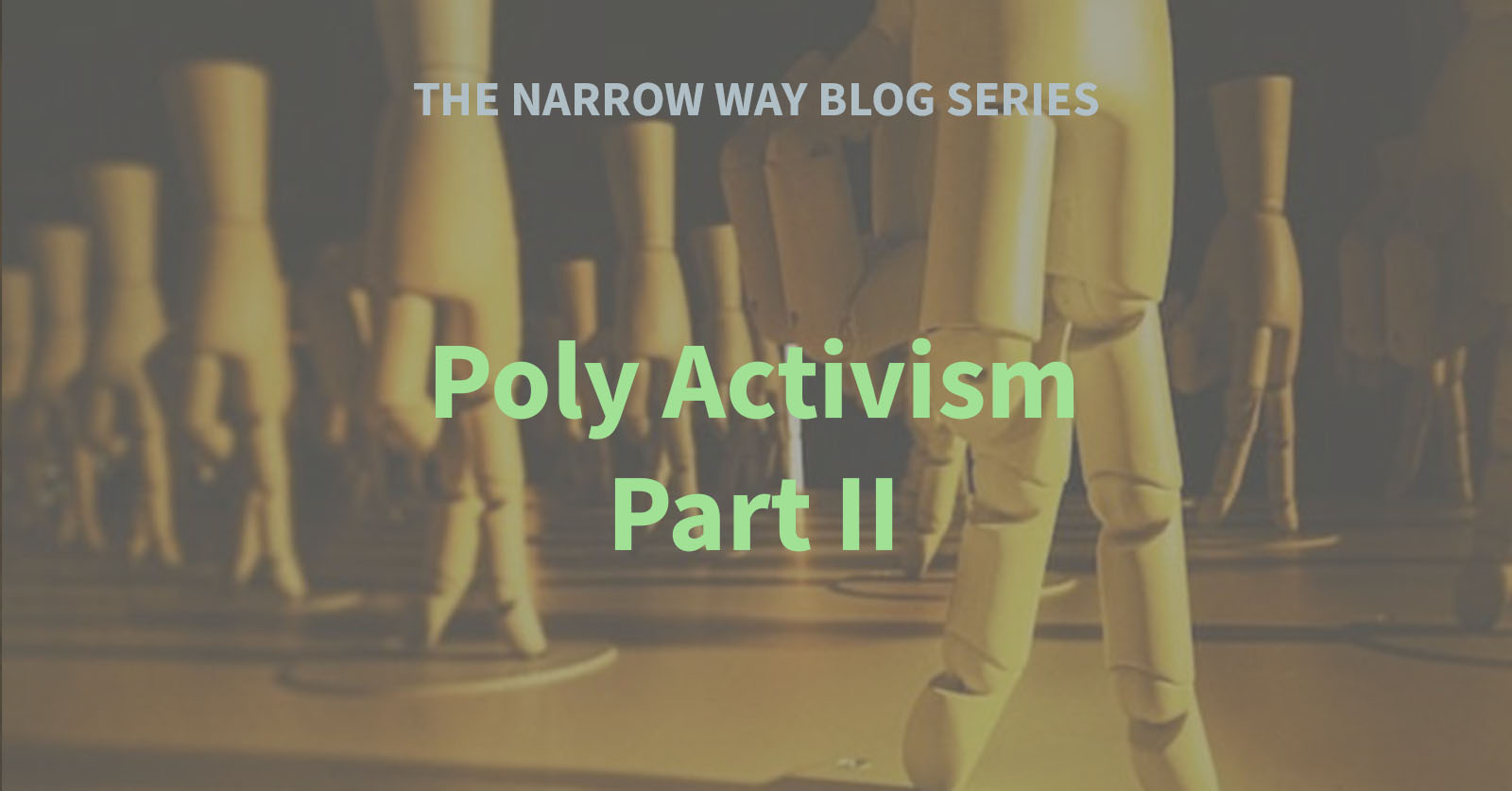 24 - Poly Activism - Part II