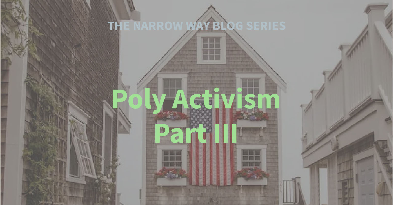 25 - Poly Activism - Part III
