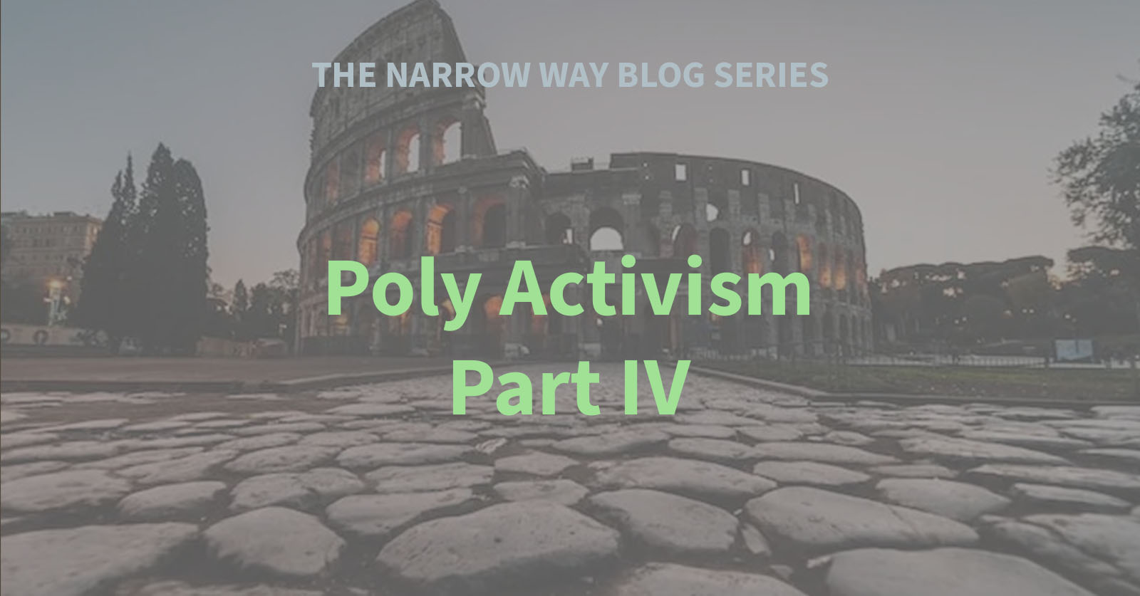 27 - Poly Activism - Part IV