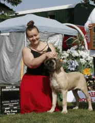 Alexis with winning Mastiff at a competition