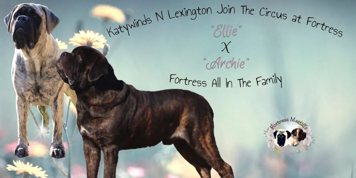 Image of Archie and Ellie