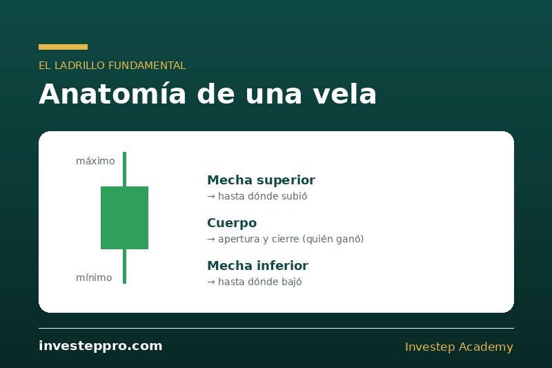 anatomia de una vela