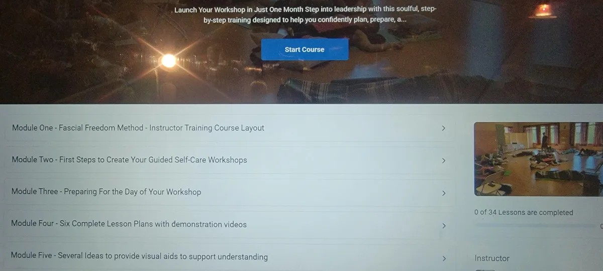 silhouette of bird flying over the lake during sunset