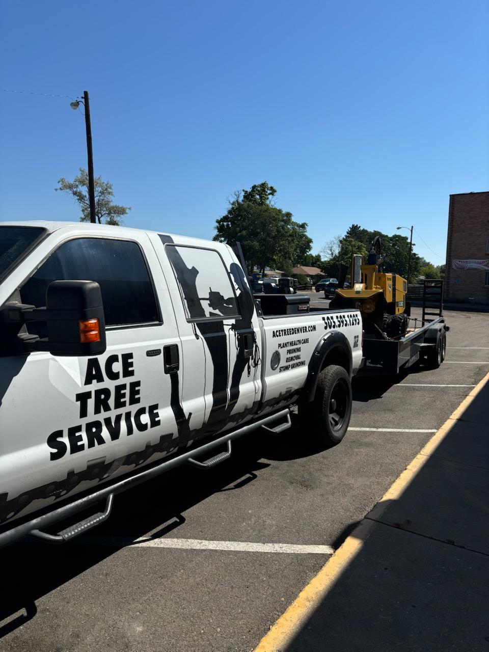 Tree Care Denver