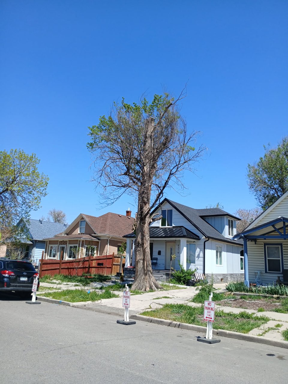 Tree Pruning