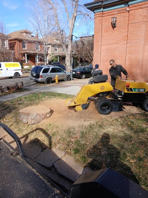  Stump Grinding