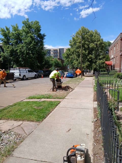  Stump Grinding
