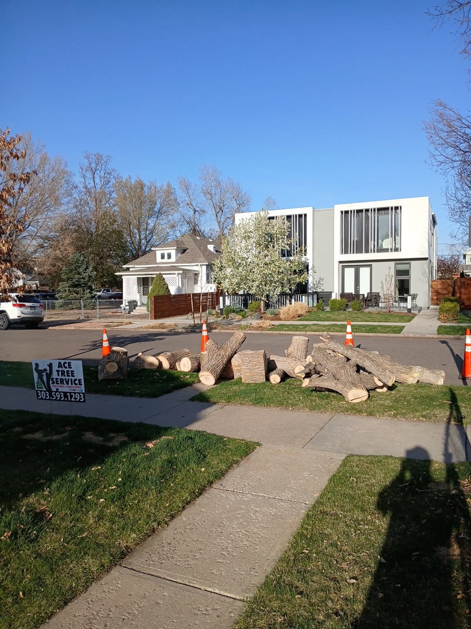 Denver Firewood Sales