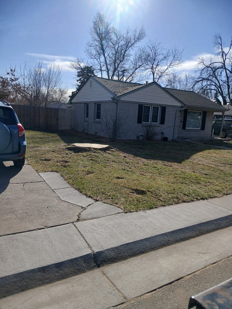 Denver Stump Grinding