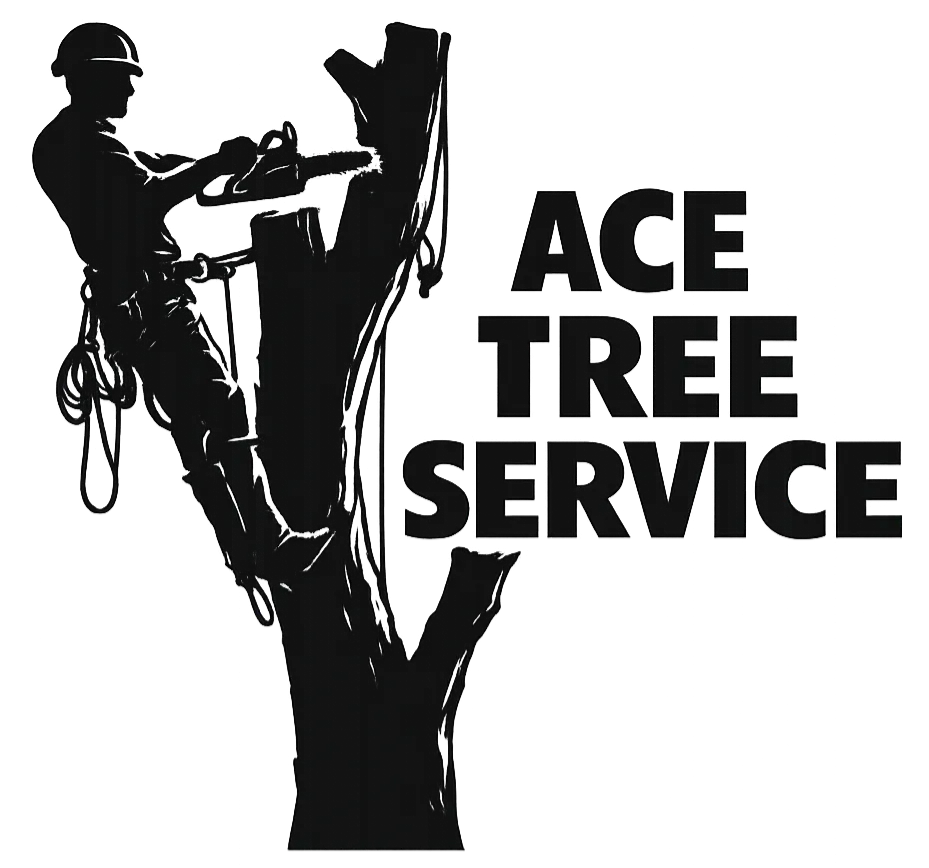 Tree Care Denver