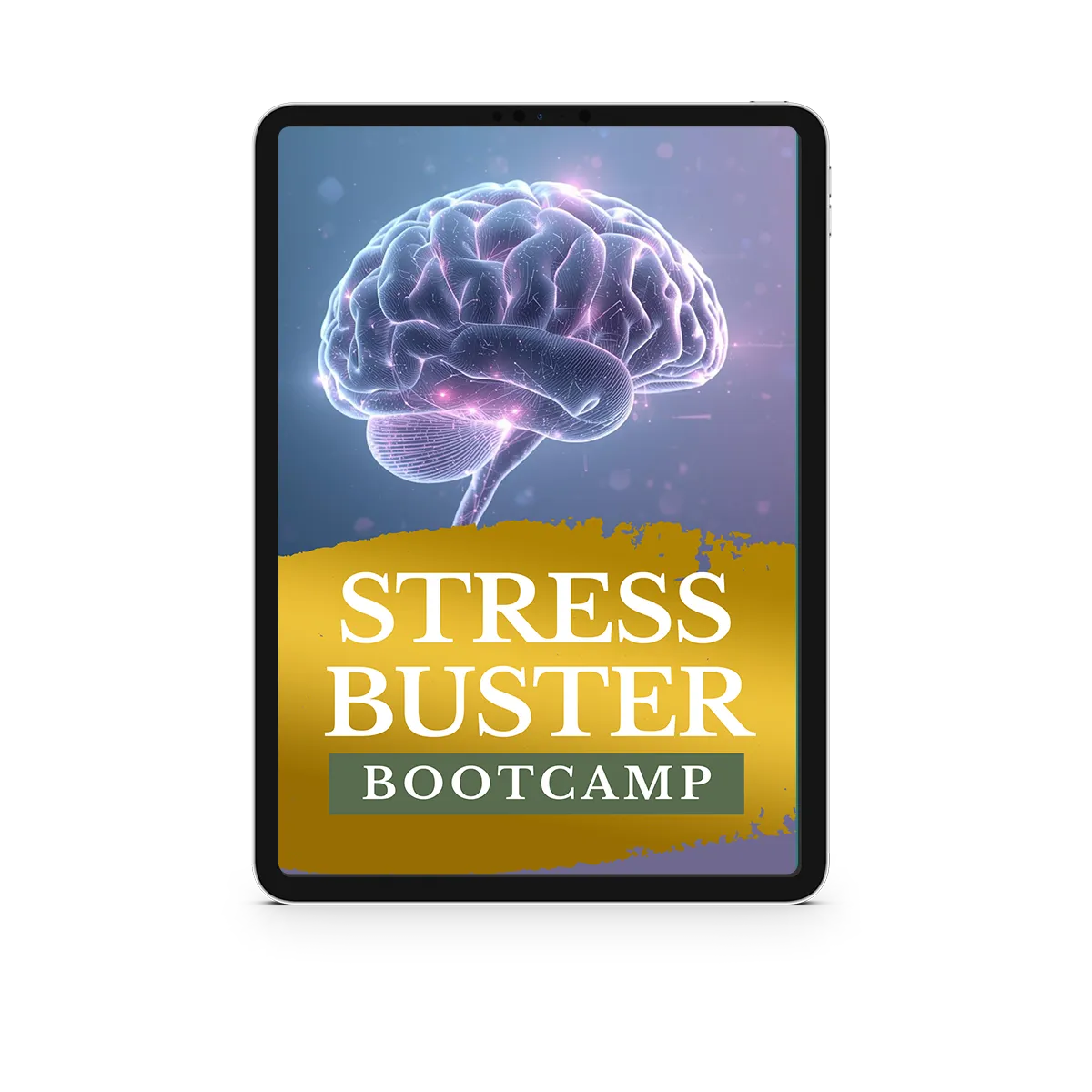 Stress Buster Bootcamp: Master Your Chill Mode