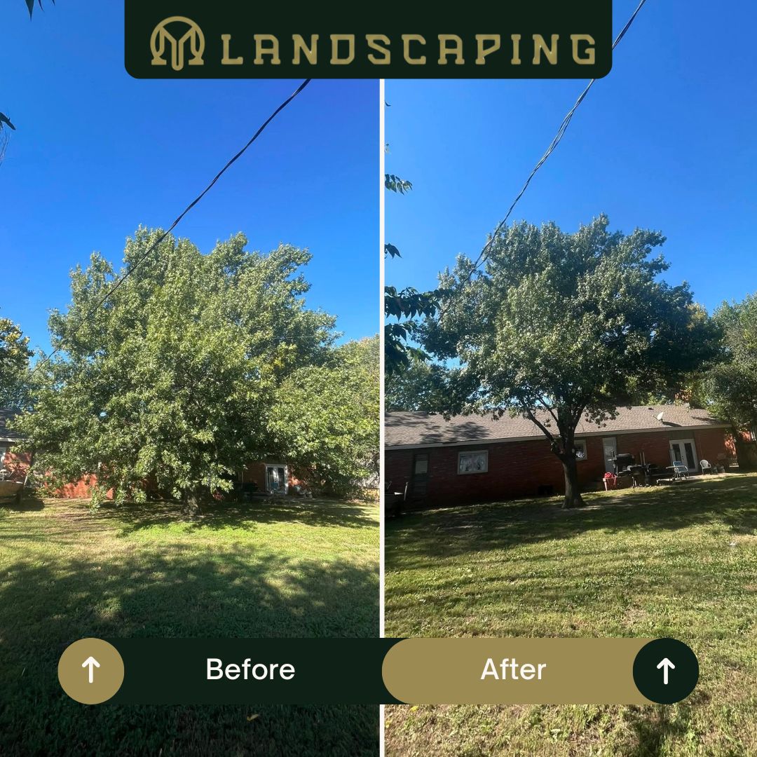 Junk and debris removed from property