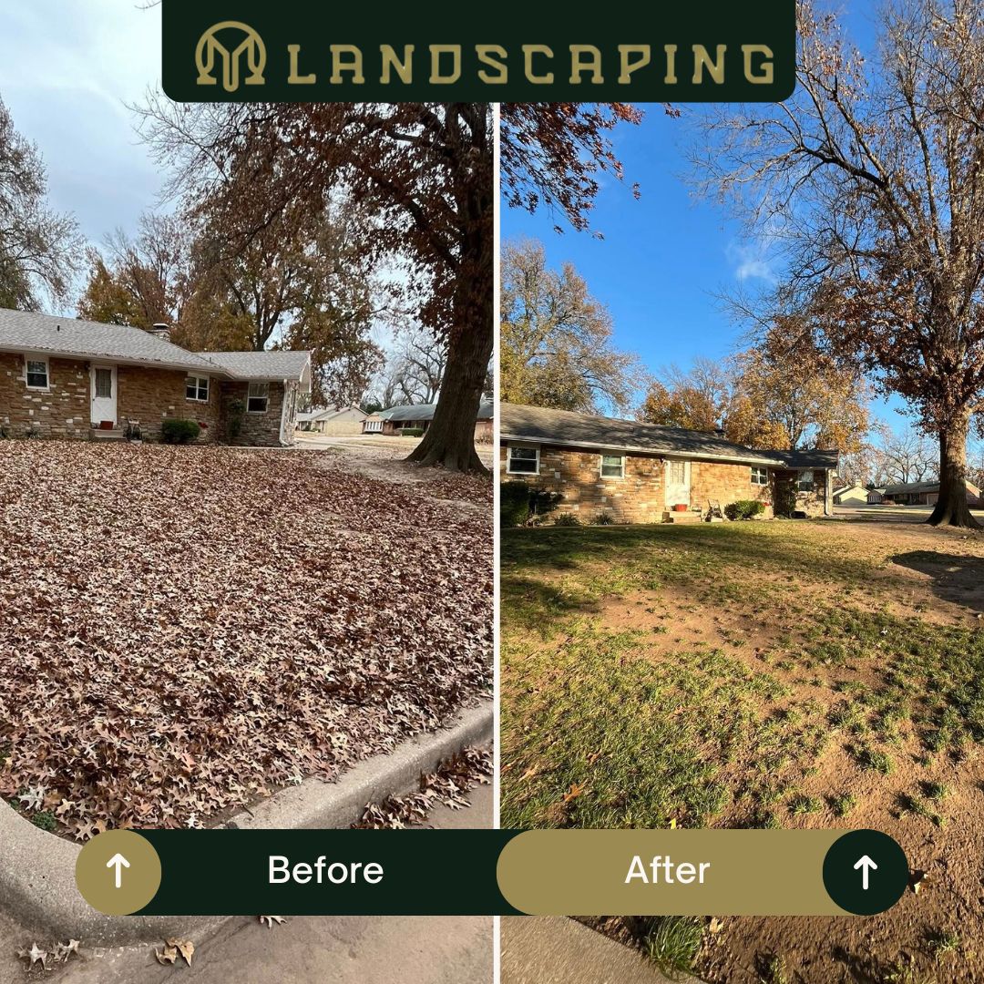 Junk and debris removed from property