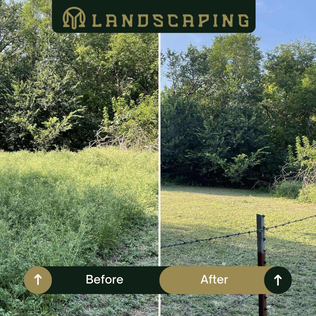 New landscape beds with mulch and plants