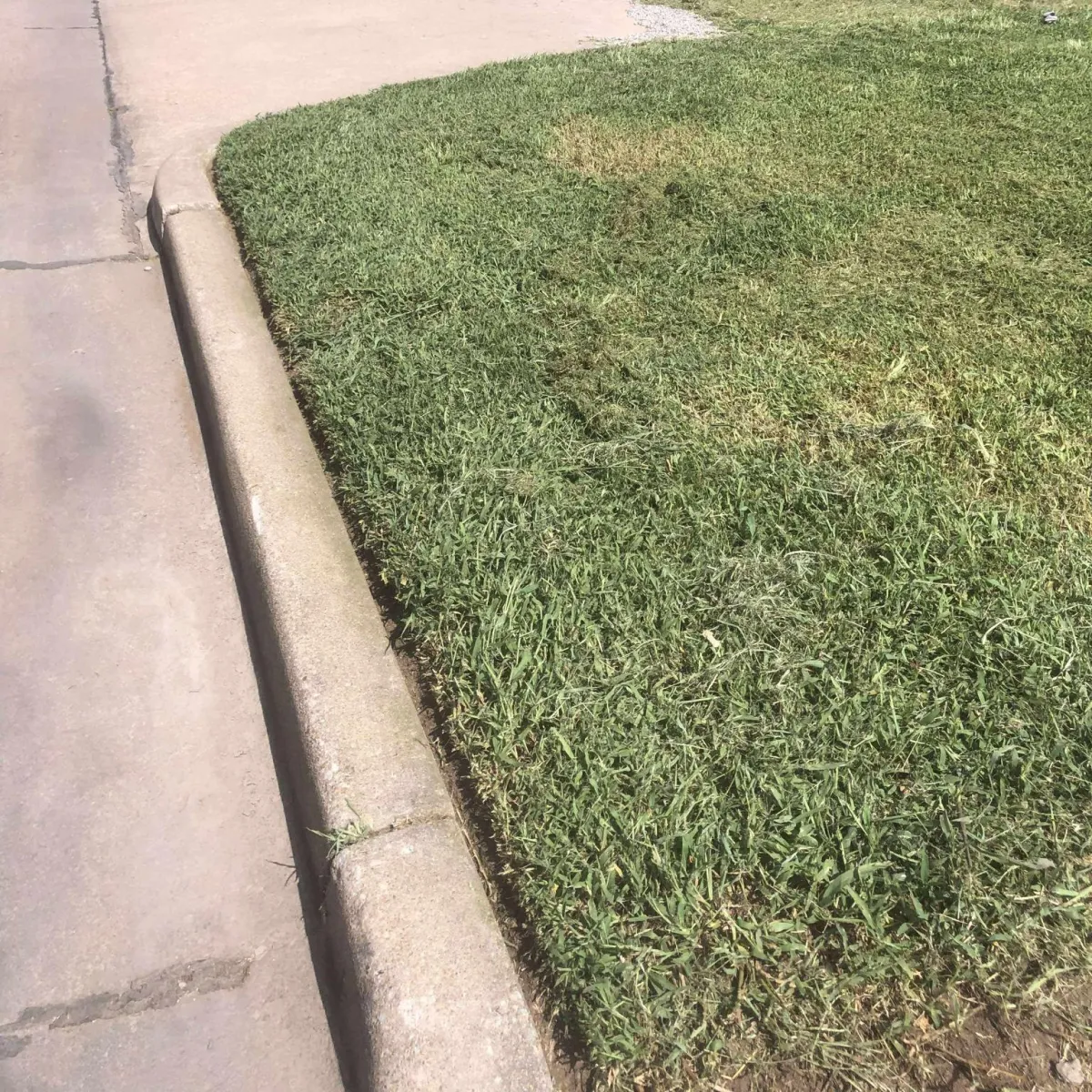 Freshly mowed lawn with clean edging